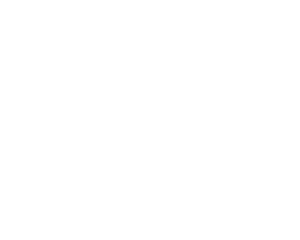 FGV